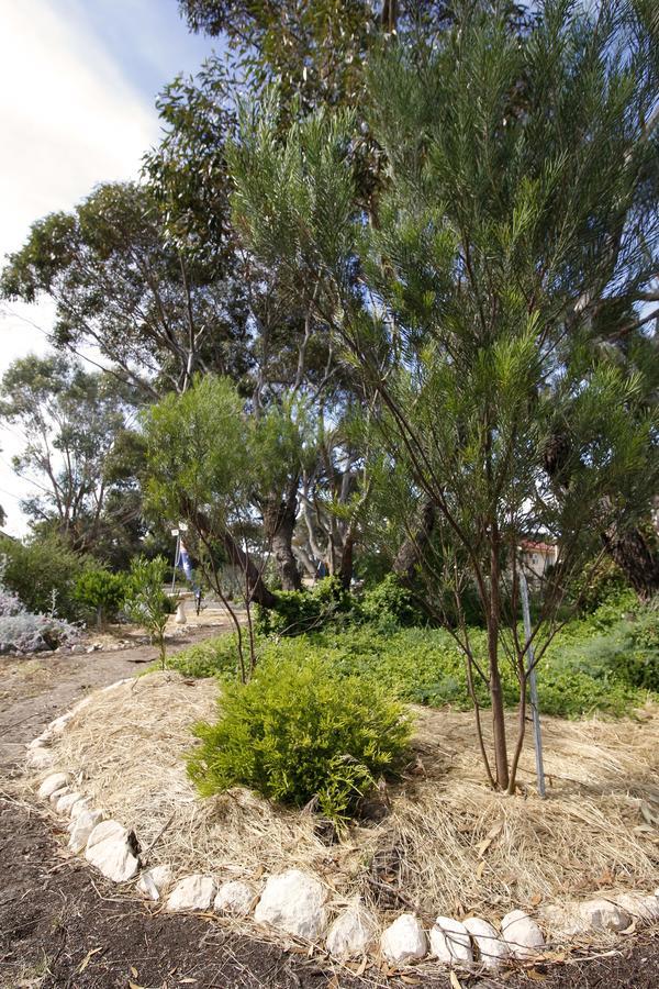 Cape Jervis Holiday Units Dış mekan fotoğraf
